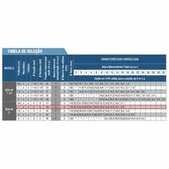 Bomba Autoesc. Schneider BCA-40 2" 1,0CV 110/220V Mono