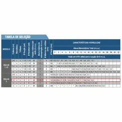 Bomba Autoesc. Schneider BCA-40 2" 1,5CV 110/220V Mono