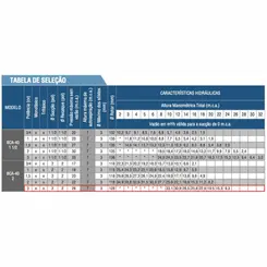 Bomba Autoesc. Schneider BCA-40 2" 3,0CV 110/220V Mono