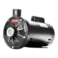 Bomba Thebe TH-16 P 2,0CV 110/220V Monofásica