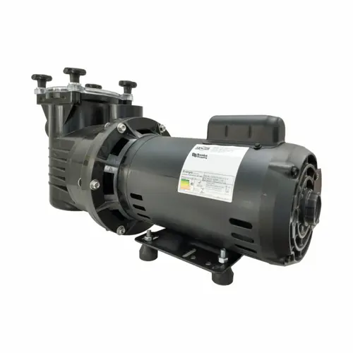Bomba Piscina Dancor PF-22 3,0CV 110/220V Monofásica