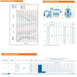 Bomba Piscina Dancor PF-17 0,25CV 110/220V Monofásica