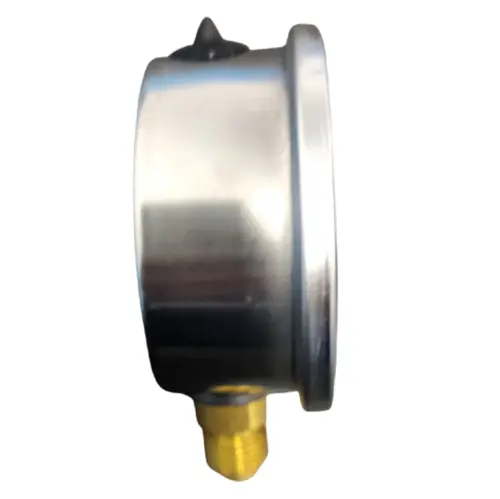 Manômetro Com Glicerina BSP 1/4" Genebre 0 À 10 BAR