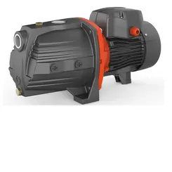 Bomba Lepono Auto aspirante AJM150 2,0 CV 110/220 Monofásica