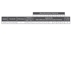 Bomba submersível Lepono STK50F 0,5CV Monofásica 220V