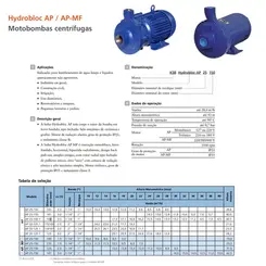 Bomba KSB Hydrobloc AP 32-125 3,0CV Trifásica RT 141