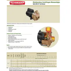 Bomba Schneider BC-91S 1/6CV 110V Monofásica