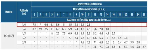 Bomba Schneider BC-91S 1/6CV 220V Monofásica