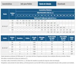 Bomba Schneider BC-91S 0,50CV 220/380V Trifásica