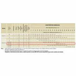 Bomba Schneider BC-92S 1B 2,0CV 127/220V Monofásica