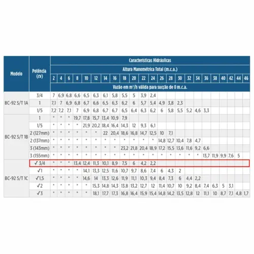 Bomba Schneider BC-92S 1C 0,75CV 110/220V Monofásica