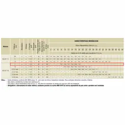 Bomba Schneider BC-92T 1B 1,0CV 127/220V Monofásica