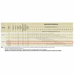 Bomba Schneider BC-92T 1B 2,0CV 127/220V Monofásica