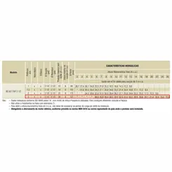 Bomba Schneider BC-92T R 2.1/2" 3,0CV 127/220V Monofásica