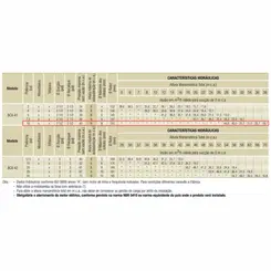 Bomba Auto Escorvante Schneider BCA-41 10,0CV 220/440V Mono