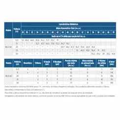 Bomba Auto Escorvante Schneider BCA-42 30CV 4V Tri