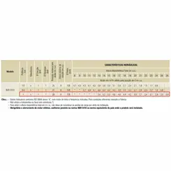 Bomba Schneider BCR-2010 1,0CV 220V Monofásica