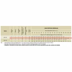 Bomba Submersível Drenagem Schneider BCS-205 3,0CV 380V Tri