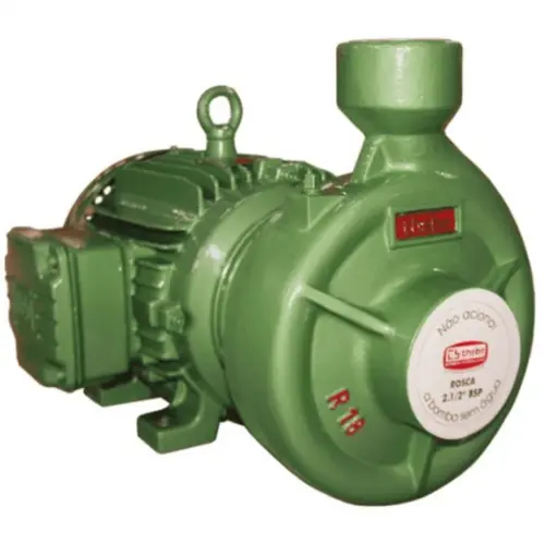 Bomba Thebe R-18 R 10,0CV 220/440V Monofásica