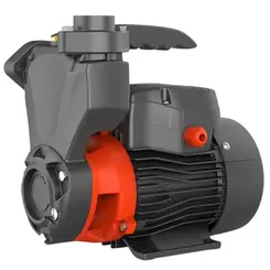 Bomba Auto Aspirante Lepono APSm75 1,0CV 110V Monofásica