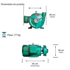 Bomba Thebe THS-18 10,0CV 4V Trifásica