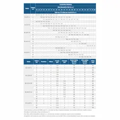 Bomba Schneider BC-22R 1A 3,0CV 4V Trifásica