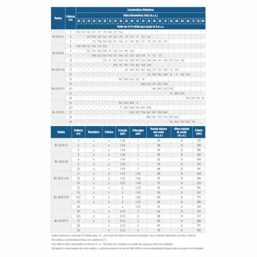 Bomba Schneider BC-22R 1B 4,0CV 4V Trifásica