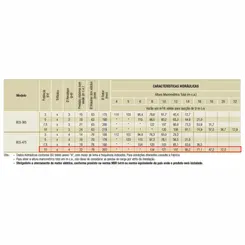 Bomba Submersível Esgoto Schneider BCS-475 10,0CV 220V Tri