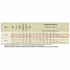 Bomba Submersível Esgoto Schneider BCS-365 7,5CV 380V Tri