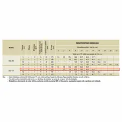 Bomba Submersível Esgoto Schneider BCS-475 5,0CV 440V Tri