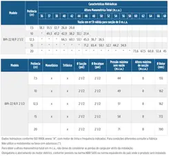 Bomba Incêndio Schneider BPI-22R 2.1/2" 20CV 4V Tri
