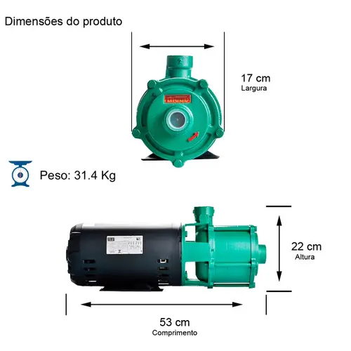 Bomba Multiestágio Thebe P-11/4 3,0CV 220/380V Trifásica