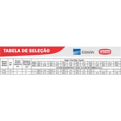 Pressurizador Pressostato Thebe TP-60 0,50CV 220V Mono Até 1 banheiro