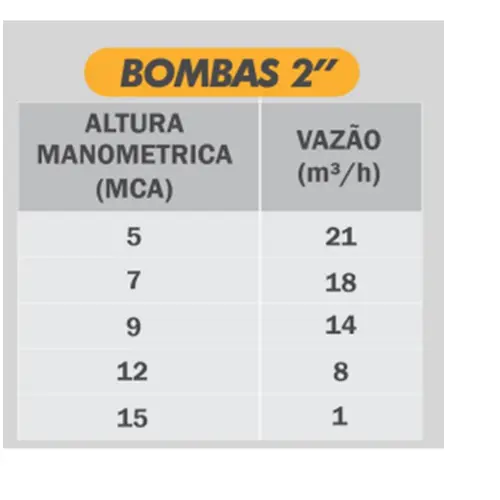 Bomba Submersível Drenagem Buffalo BFBB 2" 1,5CV 220V Mono
