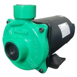 Bomba Wdm EE 1.5 1,5CV 220/380V Trifásica