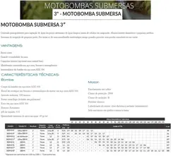 Bomba Caneta Ø3" Cabo 1,5m Lepono 3SDM2/6 0,33CV 220V Mono