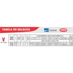 Bomba Periférica Thebe TP-80 1,0CV 127/220V Monofásica