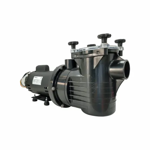 Bomba Piscina Dancor PF-22 3,0CV 110/220V Monofásica