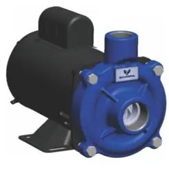 Bomba Scharpia GOL-005 0,50CV 110V/220V Monofásica