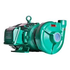 Bomba Thebe THB-18 15CV 220/440V Monofásica