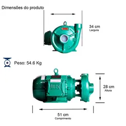 Bomba Thebe THS-18 7,5CV 4V Trifásica