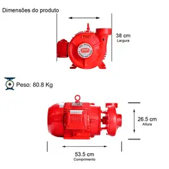 Bomba Incêndio Thebe THSI-18 10,0CV 4V Trifásica