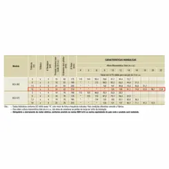 Bomba Submersível Esgoto Schneider BCS-365 10,0CV 440V Tri