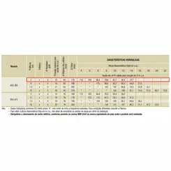 Bomba Submersível Esgoto Schneider BCS-365 3,0CV 220V Tri