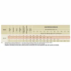 Bomba Submersível Esgoto Schneider BCS-350 1,0CV 220V Mono
