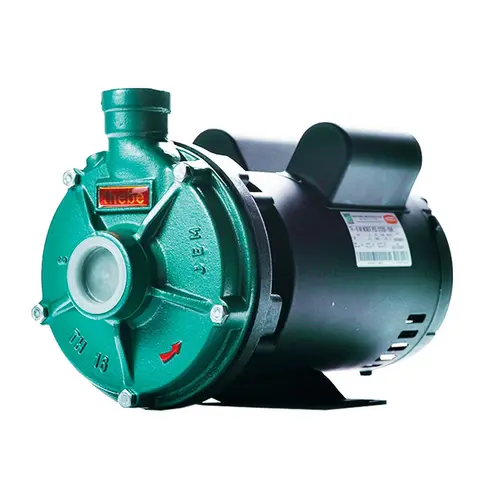 Bomba Thebe TH-16 1,5CV 110/220V Monofásica