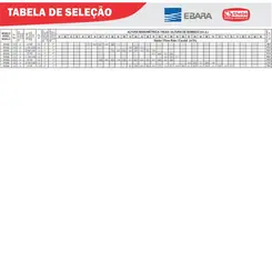 Bomba Multiestágio Thebe P-11/6 4,0CV 220/380V Trifásica
