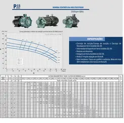 Bomba Multiestágio Thebe P-15/2 F 3,0CV 127/220-254V Mono