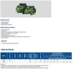 Bomba Schneider PG-05 0,5CV 220V Monofásica